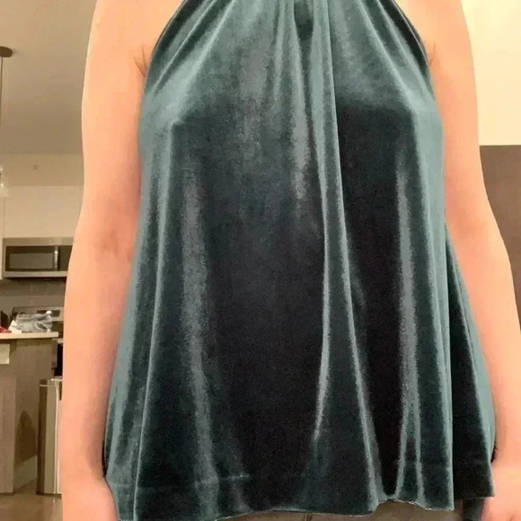 Aurore Mock Neck Velvet top - Picture 7 of 9